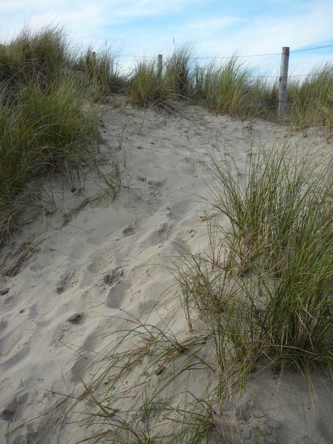 Strandslag Zanddijk 229 Julianadorp Aan Zee Eksteriør billede